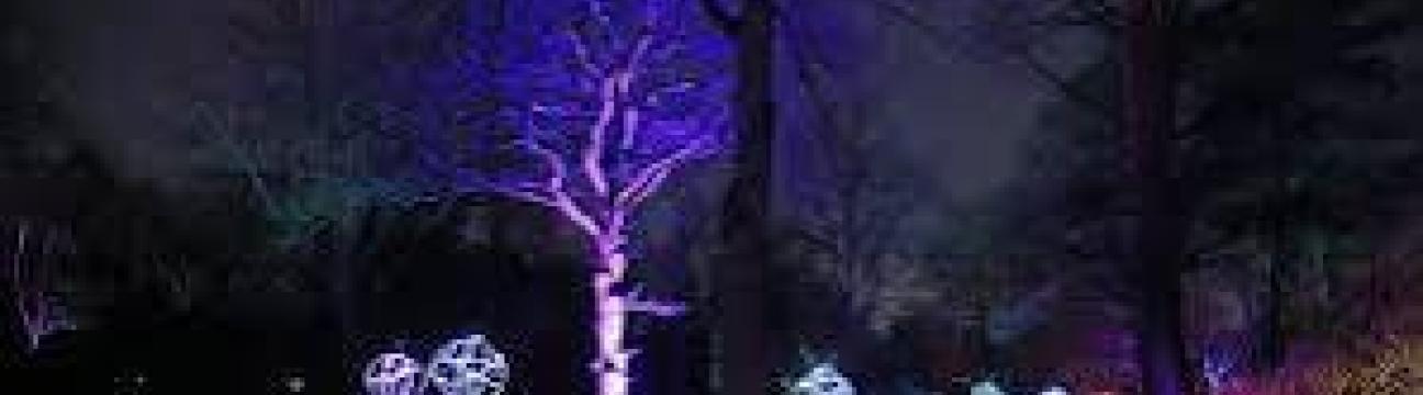 LightUp 2025